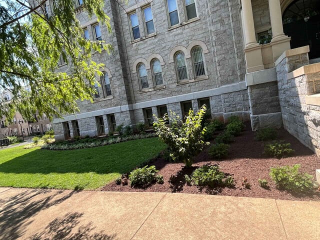 Holy Redeemer College Summer Clean-Up (After)