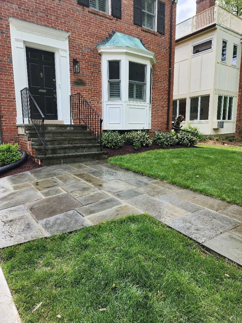 Chevy Chase Sod Installation, Walkway Repair, and Spring Cleanup (After)