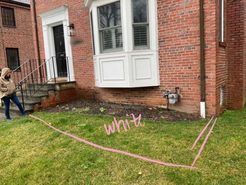 Chevy Chase Sod Installation, Walkway Repair, and Spring Cleanup (Before)
