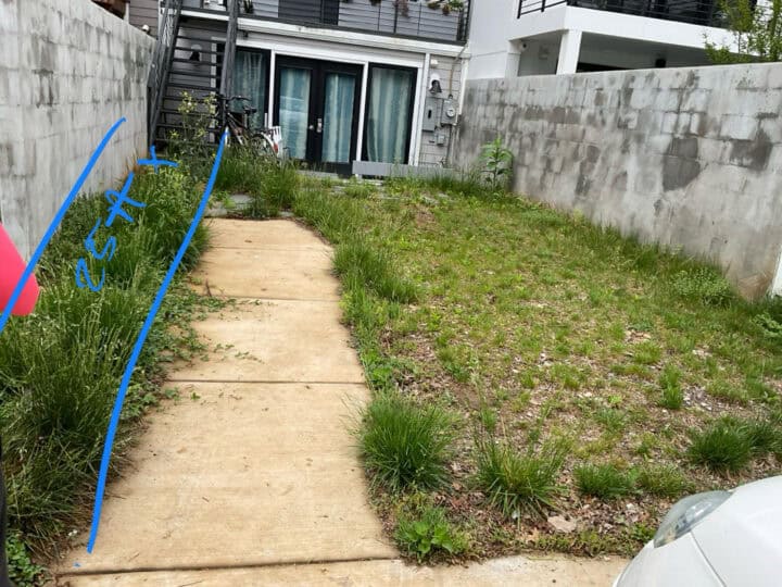 Before hardscaping an entire backyard near Georgetown (view from rear alley).