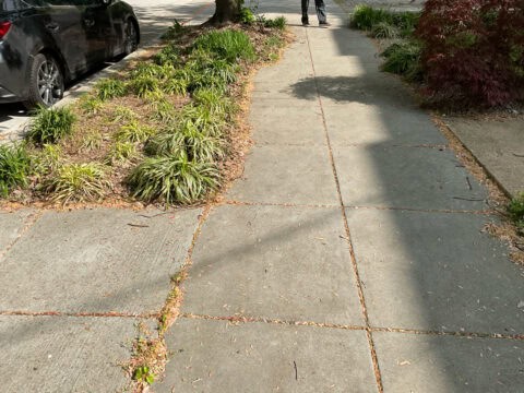 Our client's curb, which hadn't been maintained in a while.