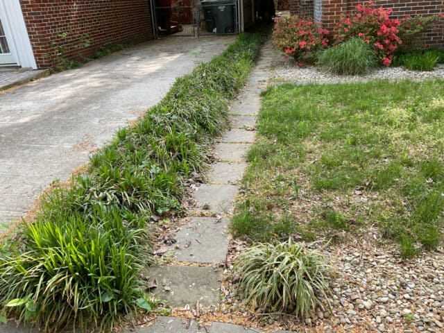 Our client's walkway that hadn't been maintained in a while