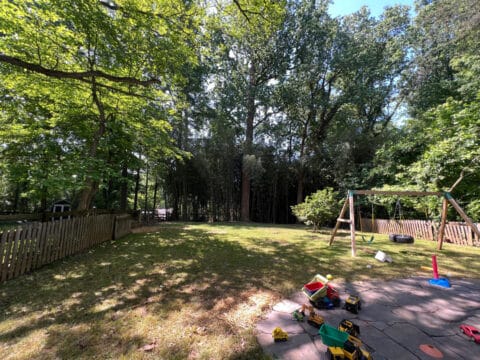 Backyard in Kensington, MD after extending it and getting rid of invasive bamboo.