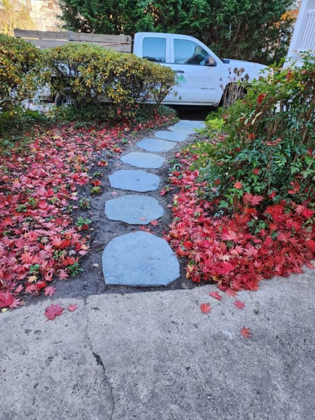 Kimble Pathway With Fall Leaves (1)