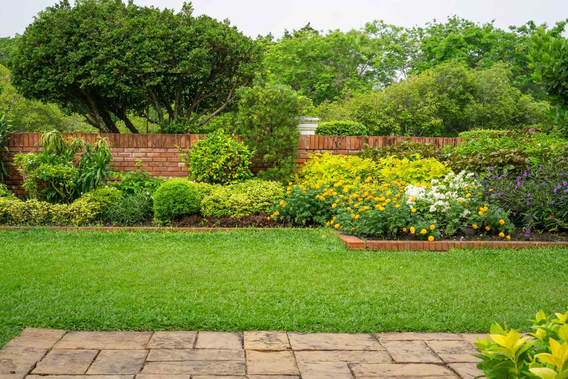 Backyard Garden